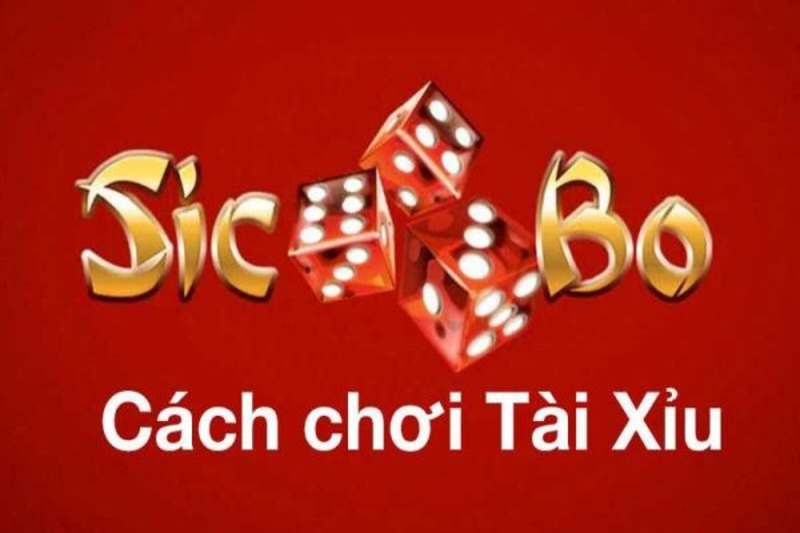 Tân thủ có thể trải nghiệm cá cược theo cầu khi chơi tại Top88